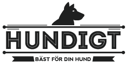 Hundigt