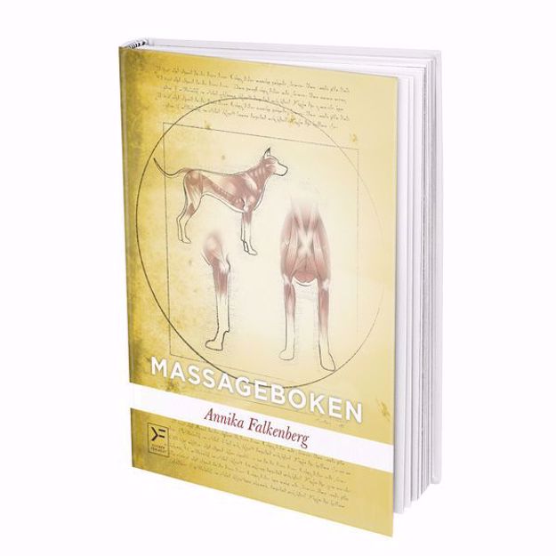 Massageboken av Annika Falkenberg