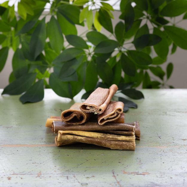 Tuggbenet av nöt från Njord har håret kvar. Det är rullat så att håret är på insidan.