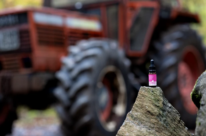 Bild för kategori Nosework