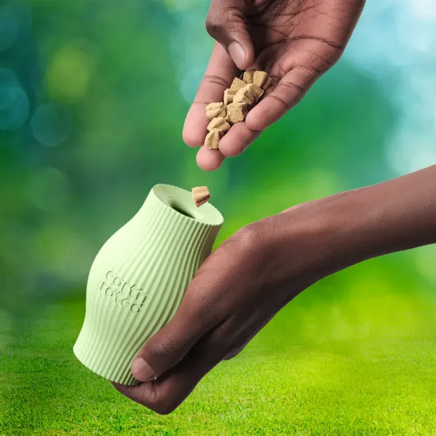 Ladda med små godisar eller torrfoder.