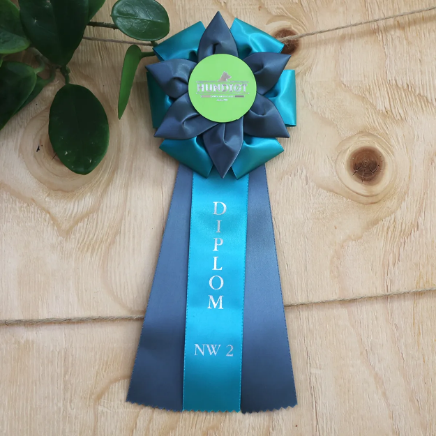 Rosett Nose Work diplom klass 2