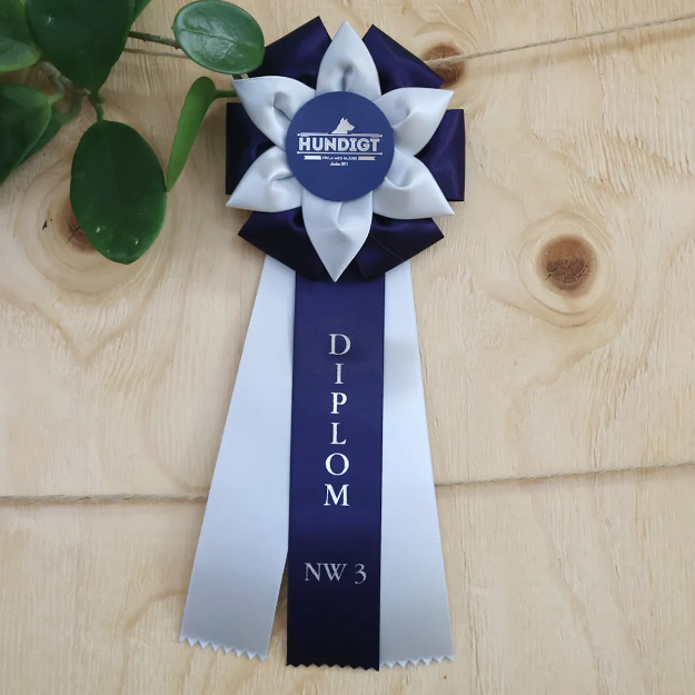 Doplom-rosett i klass 3