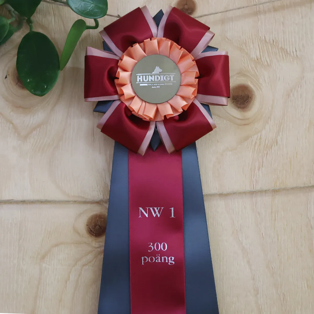 Titelrosett Nose Work klass 1