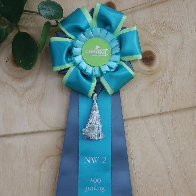 Titel-rosett Nose Work klass 2