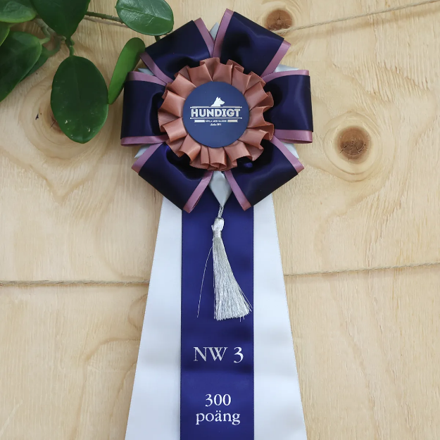 Titelrosett Nose Work klass 3