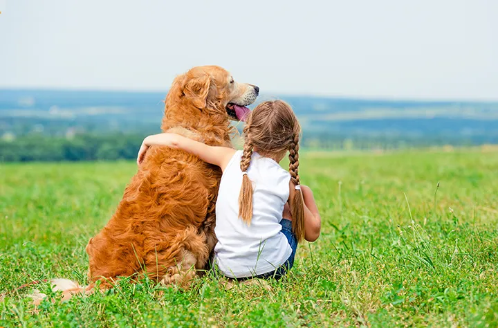 Bild för kategori Fästingbekämpning