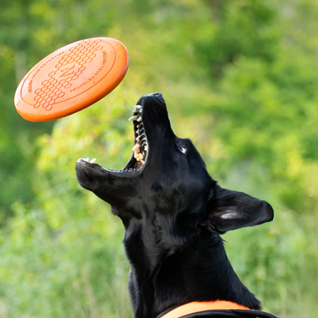 Non-stop Dogwears hundfrisbee