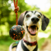 Skapa lek med Dog ball on rope från Non-stop