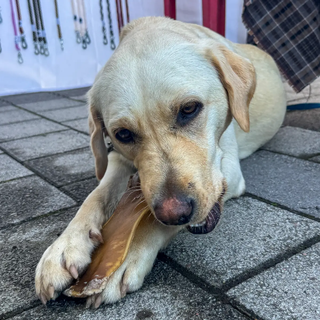 Fina Eira njuter av ett nötchips från Kero