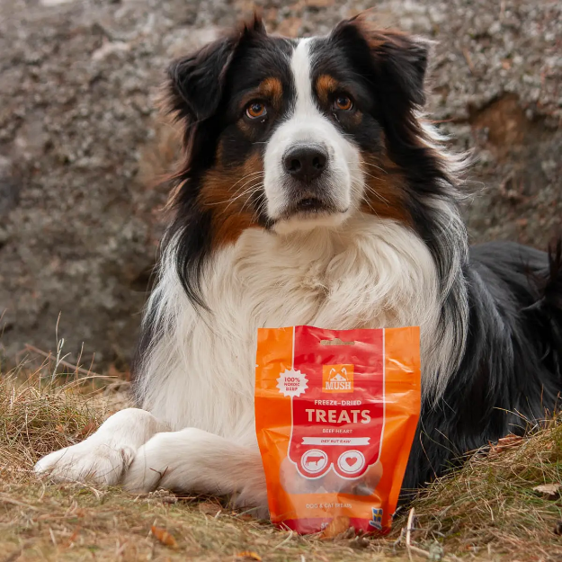 Bild på MUSH hundgodis - nöthjärta frystorkat