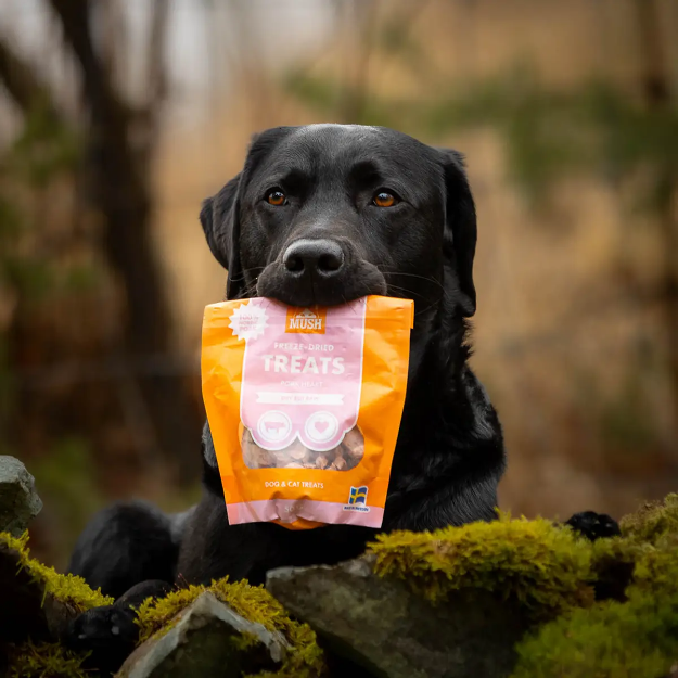 Bild på MUSH hundgodis - grishjärta frystorkat