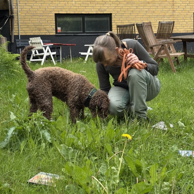 Bild på Nose Work privatträning med Lina