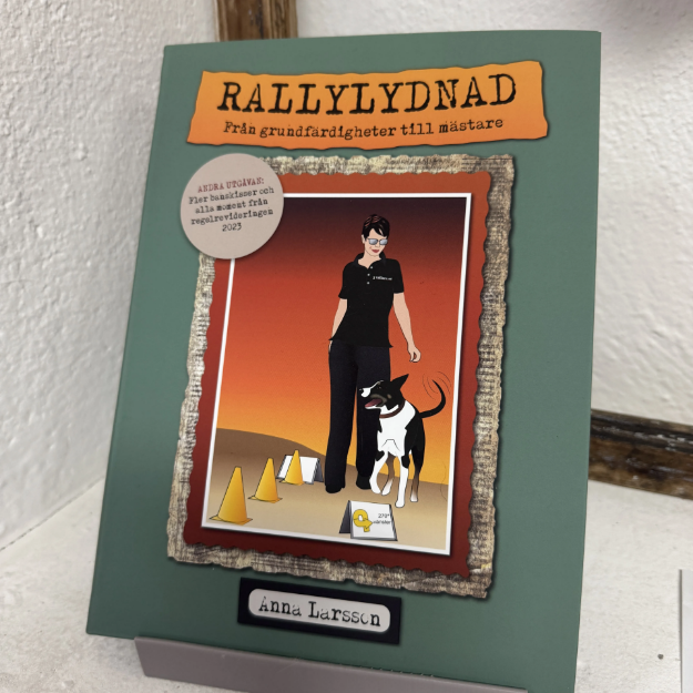 Rallylydnad - från grundfärdigheter till mästarklass