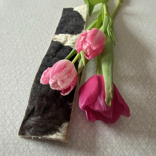 Njord XL är ett rejält tugg av nöthud med pälsen kvar.