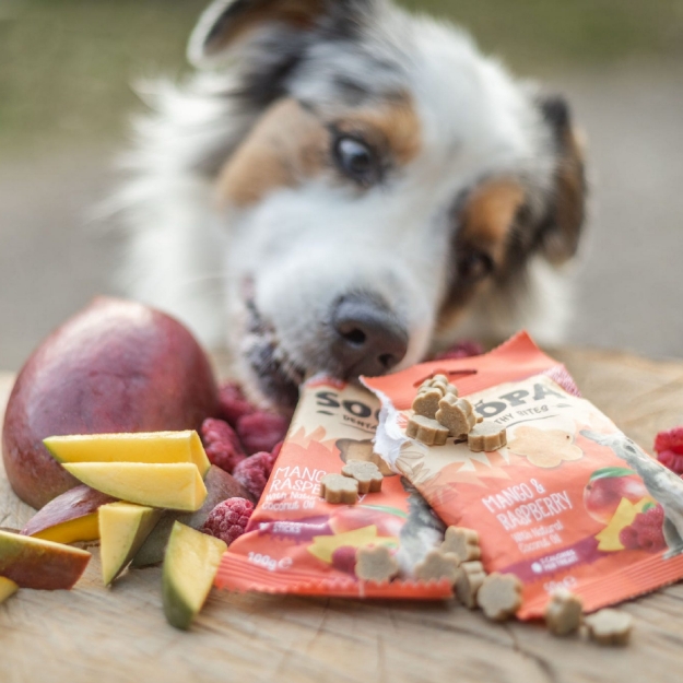 En småsugen aussie knycker lite Soopa-godis med smaken mango och hallon