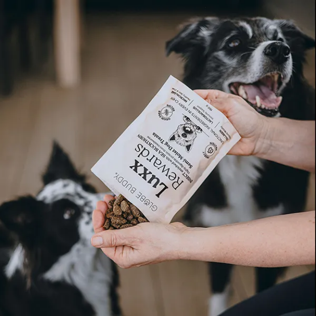 LUXX insektsbaserat hundgodis, älskat av många