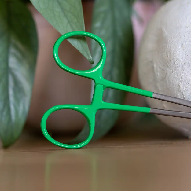 Bild på Peang  till nosework & specialsök grön