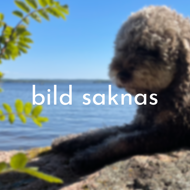 Bild på KEROTUGG älgbiff 15 - hundben