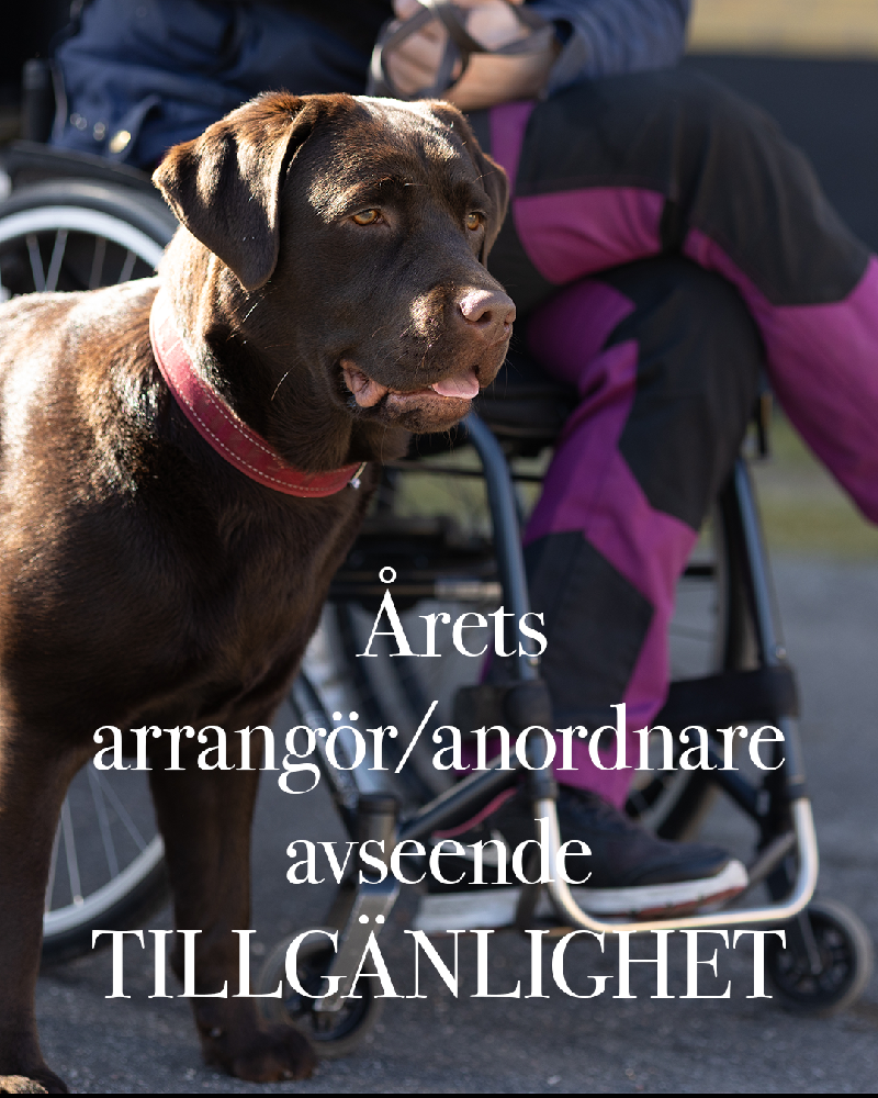 Hundigt blev årets arrangör avseende tillgänglighet 2026